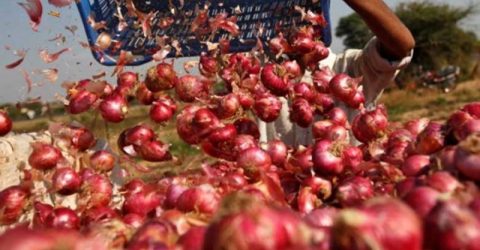 ব্যবসায়ীদের সিন্ডিকেট রুখতে ১০ দিন পেঁয়াজ না খাওয়ার পরামর্শ দিলেন বাণিজ্যমন্ত্রী