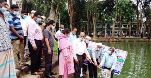 রাজাপুরে পোনা মাছ অবমুক্তকরণ
