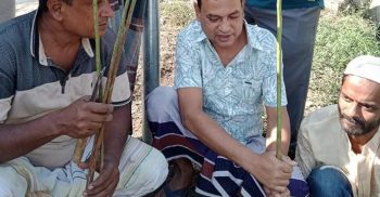ঘোড়াঘাটে পাঁচতারা সংগঠনের উদ্যোগে এক হাজার বৃক্ষ রোপন