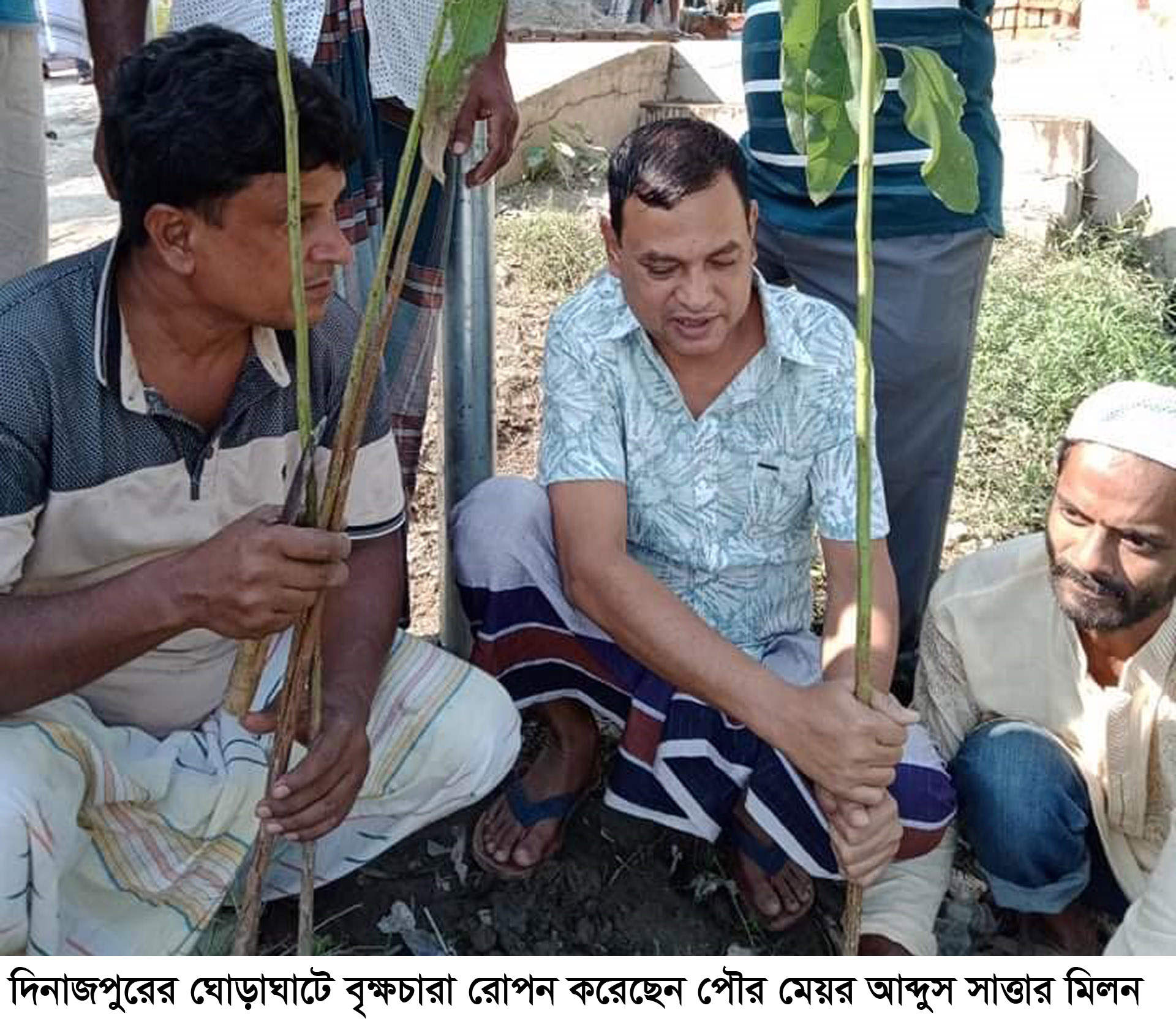 ঘোড়াঘাটে পাঁচতারা সংগঠনের উদ্যোগে এক হাজার বৃক্ষ রোপন