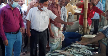 পলাশবাড়ীতে ভ্রাম্যমাণ আদালতে কারেন্টজাল ব্যবসায়ীর জরিমানা