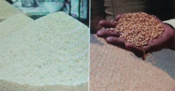 ২৬ টাকা কেজি ধান, ৩৭ টাকা দরে চাল কিনবে সরকার