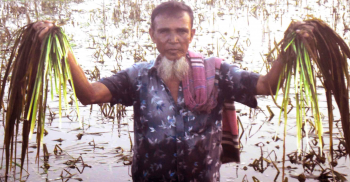 সাঘাটায় বন্যায় কৃষকের প্রায় ১৪ কােটি টাকার ক্ষয়-ক্ষতি