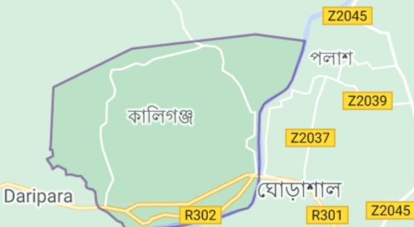 কালীগঞ্জে সড়ক দূর্ঘটনায় কলেজ শিক্ষার্থী নিহত