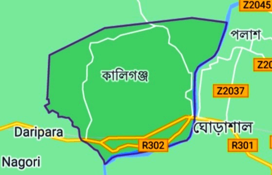 কারা পাচ্ছেন কালীগঞ্জ উপজেলা স্বেচ্ছাসেবক লীগের নেতৃত্ব