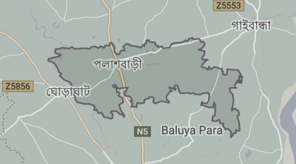 পলাশবাড়ীতে বড় ভাইয়ের হাতে ছোট ভাই খুন