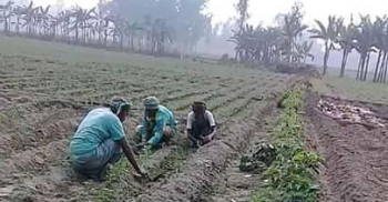 কর্মসূচির শ্রমিক দিয়ে ব্যক্তিগত কাজ করে নিলেন ইউপি সদস্য