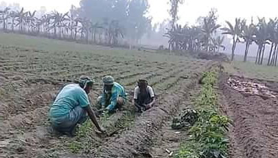 কর্মসূচির শ্রমিক দিয়ে ব্যক্তিগত কাজ করে নিলেন ইউপি সদস্য