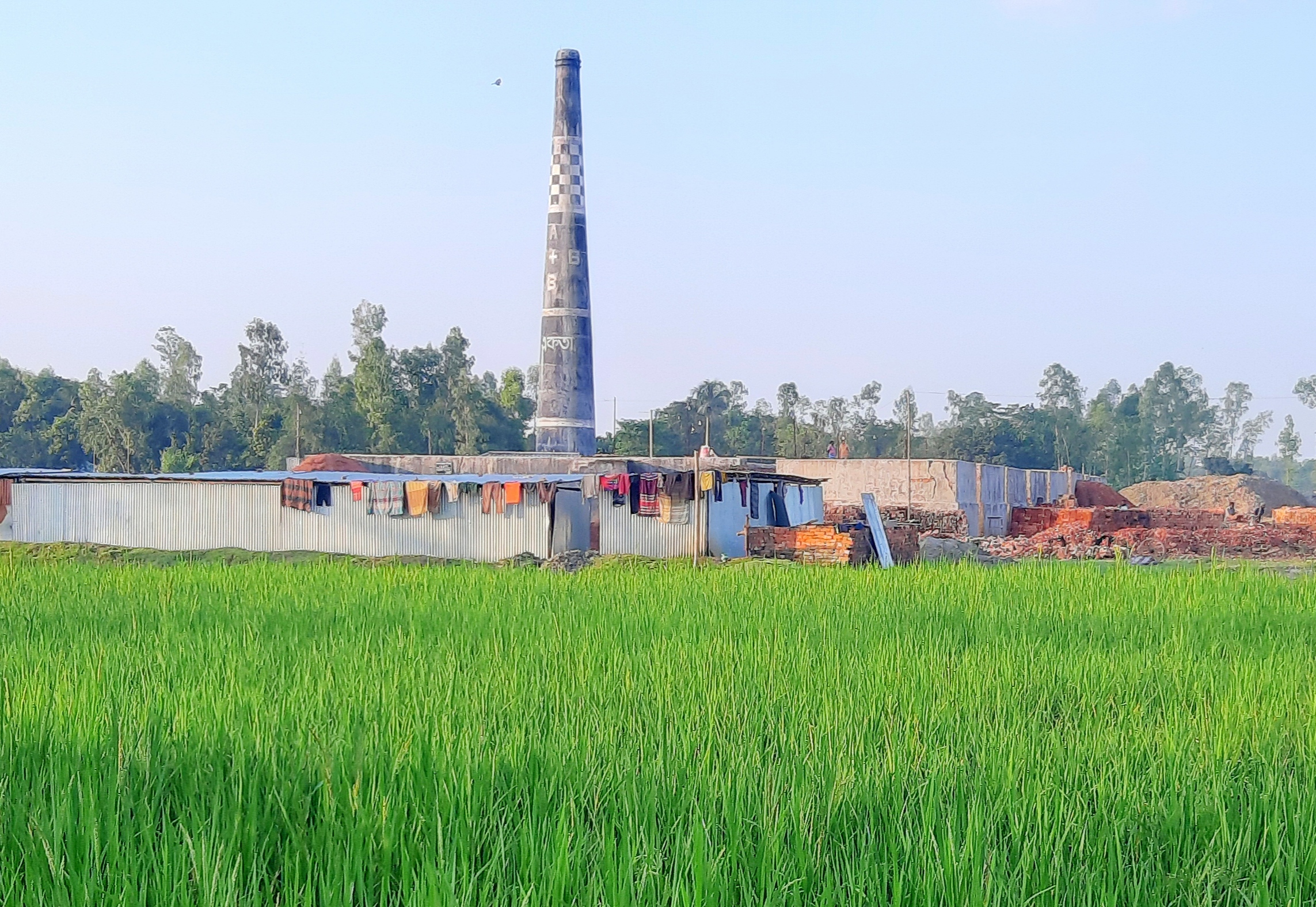 গোবিন্দগঞ্জে ছাড়পত্র ছাড়াই চলছে অর্ধশত ইটভাটা