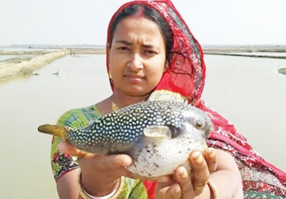 শ্রীমঙ্গলে পটকা মাছ খেয়ে দুইজনের মৃত্যু