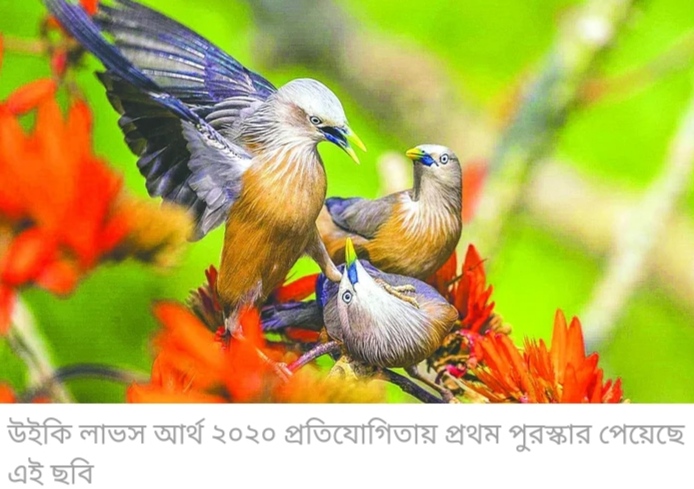 জমা পড়া ১ লাখ ৬ হাজার ছবির মধ্যে বাংলাদেশের ছবি প্রথম