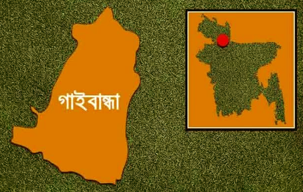 গোবিন্দগঞ্জ পৌরসভা নির্বাচনে মেয়র পদে মনোনয়নপত্র জমা দিলেন যারা