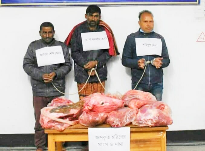 মোংলায় হরিণের মাথা-মাংসসহ আটক ৩