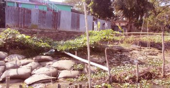 মোল্লাহাটে ক্ষতিরোধে বর্ষাকালের আগেই মধুমতি নদী শাসন জরুরী