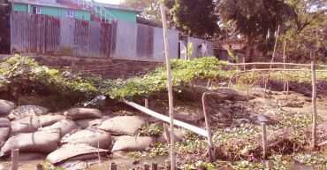 মোল্লাহাটে ক্ষতিরোধে বর্ষাকালের আগেই মধুমতি নদী শাসন জরুরী