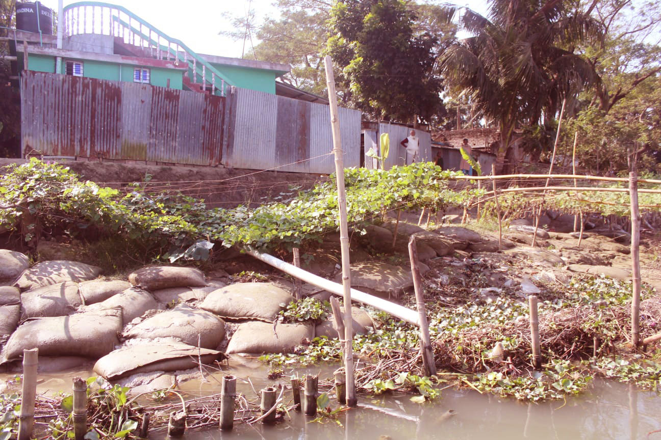 মোল্লাহাটে ক্ষতিরোধে বর্ষাকালের আগেই মধুমতি নদী শাসন জরুরী