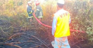 সুন্দরবনে আগুনে পুড়ল বনভূমি 