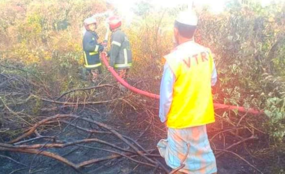 সুন্দরবনে আগুনে পুড়ল বনভূমি 