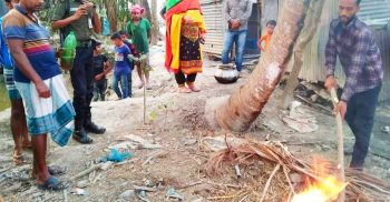 মোল্লাহাটে জেলি পুশকৃত চিংড়ি মাছ পুড়ে ফেলে ভ্রাম্যমাণ আদালত