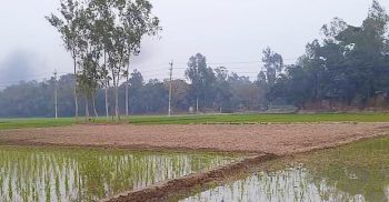 জমিতে সেচের পানি নিতে বাধা দেওয়ার অভিযোগ