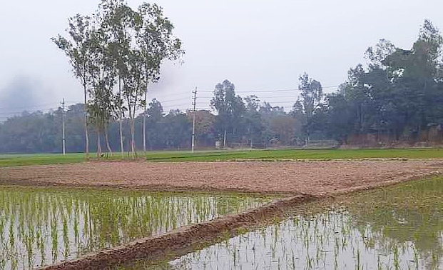 জমিতে সেচের পানি নিতে বাধা দেওয়ার অভিযোগ 