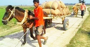 যে এলাকায় নিত্যদিনের বাহন ঘোড়ার গাড়ী