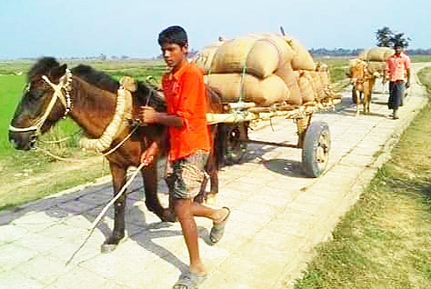 যে এলাকায় নিত্যদিনের বাহন ঘোড়ার গাড়ী