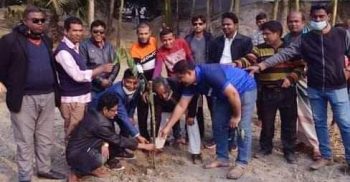 মুজিববর্ষে প্রেসক্লাবের উদ্যোগে বৃক্ষ রোপন কর্মসূচি