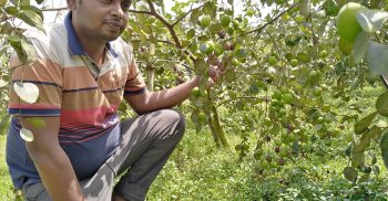 বড়াই চাষে মাইলফলক ছুঁয়েছেন ঘোড়াঘাটের সাব্বির