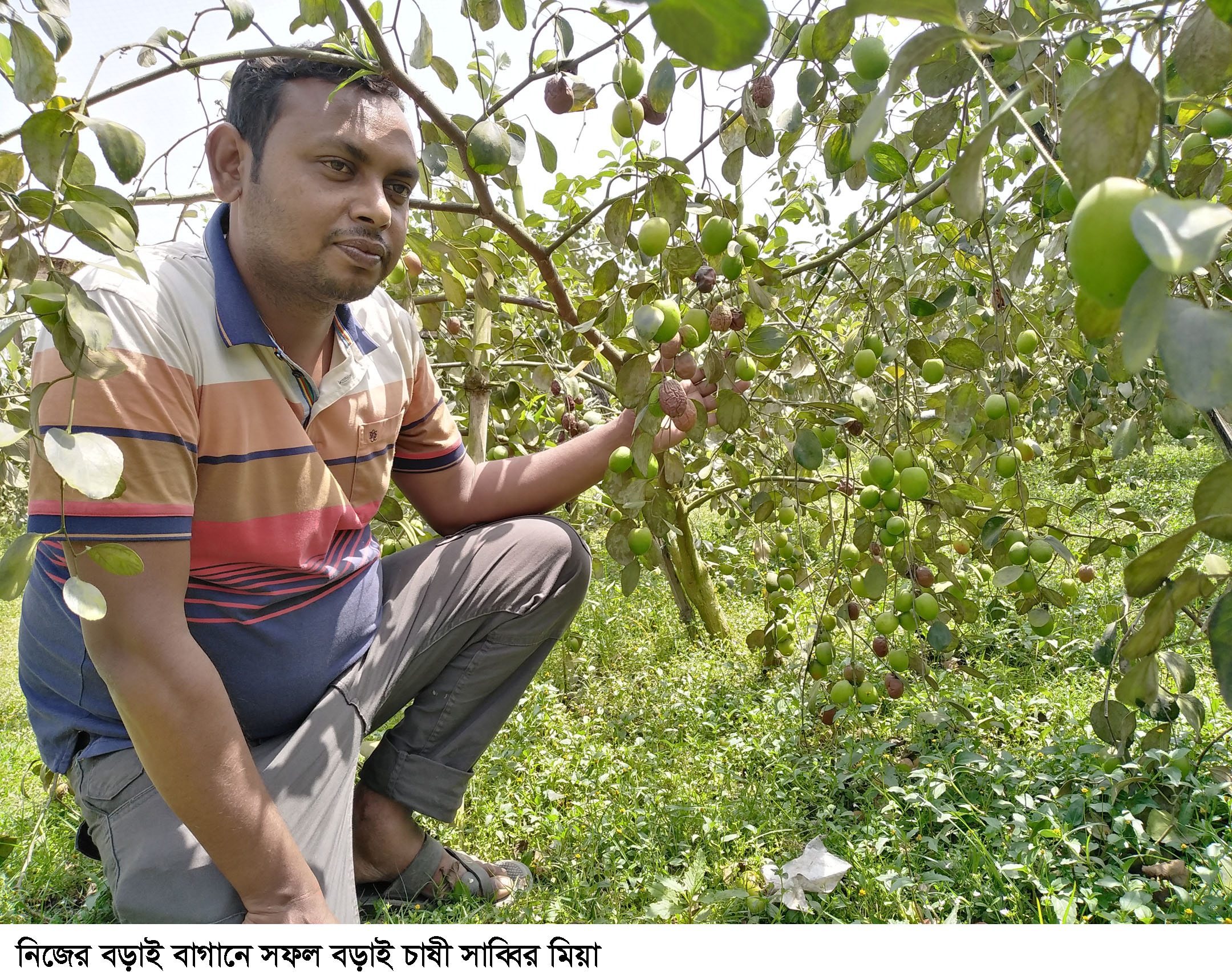 বড়াই চাষে মাইলফলক ছুঁয়েছেন ঘোড়াঘাটের সাব্বির