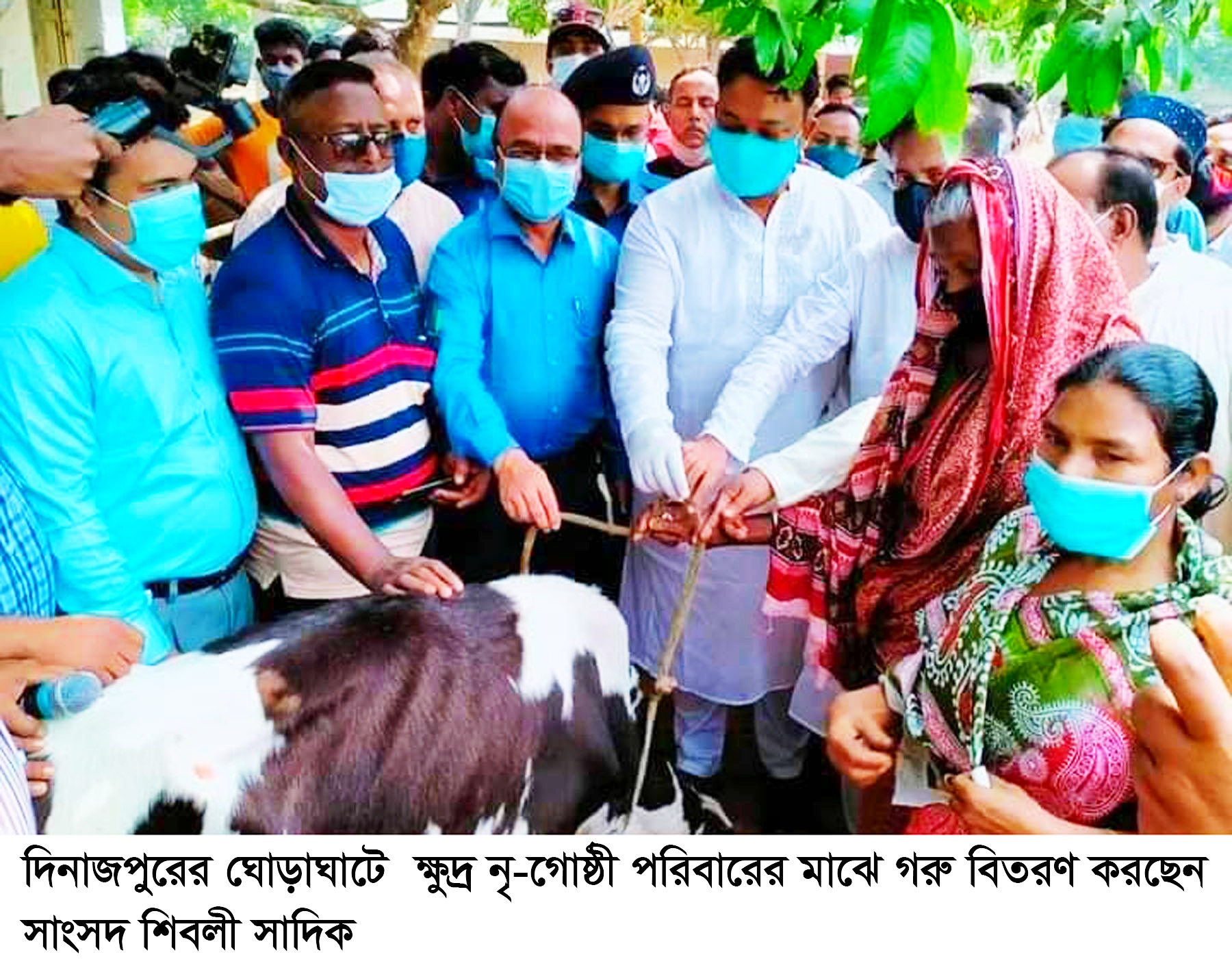 ঘোড়াঘাটে ক্ষুদ্র নৃ-গোষ্ঠীর ৯৭ পরিবারের মাঝে গরু বিতরণ