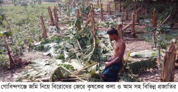 গোবিন্দগঞ্জে জমি নিয়ে বিরোধে কৃষকের বিভিন্ন প্রজাতির অর্ধশতাধিক গাছ কর্তন