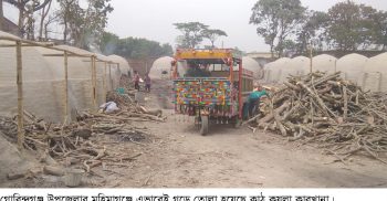 গোবিন্দগঞ্জে অবৈধভাবে গড়ে উঠেছে কাঠ পুড়িয়ে কয়লা তৈরীর কারখানা