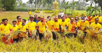 গোবিন্দগঞ্জে এক অসহায় কৃষকের ধান কেটে বাড়ি পৌঁছে দিল যুবলীগের নেতা-কর্মীরা
