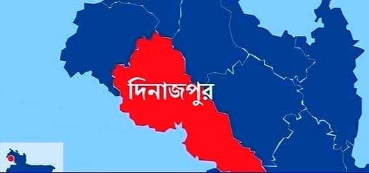 ঘোড়াঘাটে মধ্যরাতে সড়ক দূর্ঘটনায় প্রাণ গেল পাগলের
