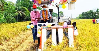কালীগঞ্জে কম্বাইন হারভেস্টারে ধান কাটলেন ডিসি