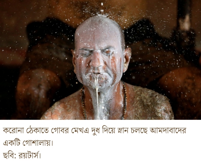 করোনা মোকাবিলায় গোমূত্র ও গোবর মাখা হয়েছে