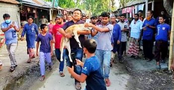 ফেসবুকে পশুর প্রতি নিষ্ঠুরতার ভিডিও দেখে পুলিশের তড়িৎ ব্যবস্থা