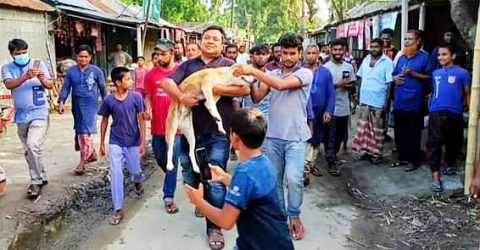 ফেসবুকে পশুর প্রতি নিষ্ঠুরতার ভিডিও দেখে পুলিশের তড়িৎ ব্যবস্থা