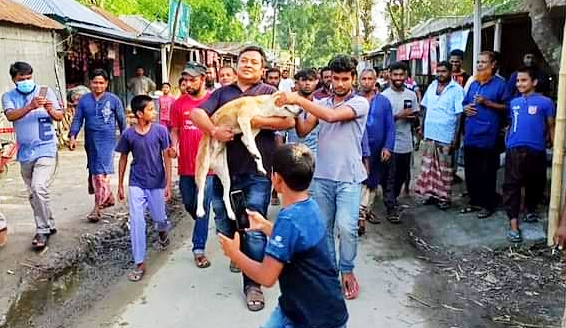 ফেসবুকে পশুর প্রতি নিষ্ঠুরতার ভিডিও দেখে পুলিশের তড়িৎ ব্যবস্থা