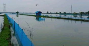 রামপালে ঘুর্ণিঝড় ইয়াসে প্রায় ৭ কোটি টাকার ক্ষতি সাধিত