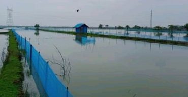 রামপালে ঘুর্ণিঝড় ইয়াসে প্রায় ৭ কোটি টাকার ক্ষতি সাধিত