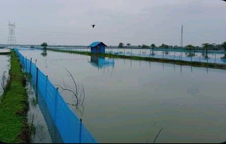 রামপালে ঘুর্ণিঝড় ইয়াসে প্রায় ৭ কোটি টাকার ক্ষতি সাধিত