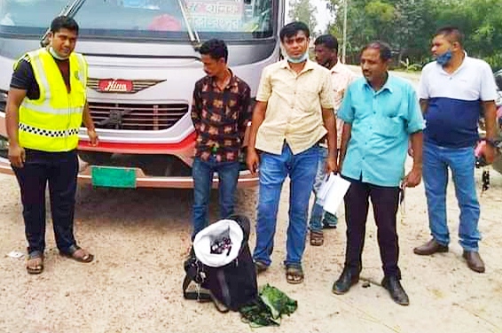 পলাশবাড়ীতে ৭৪ বোতল ফেনসিডিল সহ গ্রেপ্তার ১