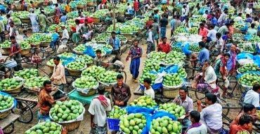 নওগাঁর বাজারে আমের ছড়াছড়ি, ক্রেতা নেই
