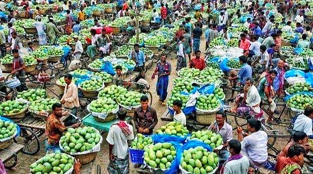 নওগাঁর বাজারে আমের ছড়াছড়ি, ক্রেতা নেই