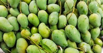 আম্রপালী আমের নামকরণ কিভাবে এসেছে