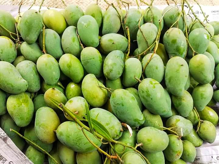 আম্রপালী আমের নামকরণ কিভাবে এসেছে