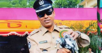 কবুতরকে শান্তির প্রতিক বলা হয় কেন?