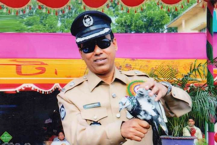 কবুতরকে শান্তির প্রতিক বলা হয় কেন?